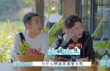 娱乐吃瓜酱遇到熊孩子,娱乐吃瓜酱遭遇惊魂一幕