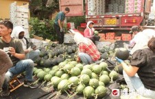 湖南娱乐吃瓜在一线