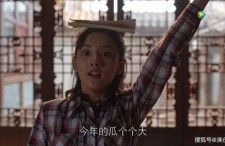 吃瓜娱乐圈的作品,吃瓜群众眼中的明星秘闻